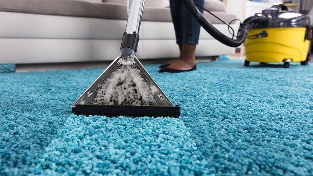 Carpet Cleaning Services